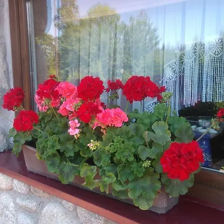 U Hanki Jacuzzi & Sauna